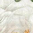 Preview of cross stitch pattern: #2960851