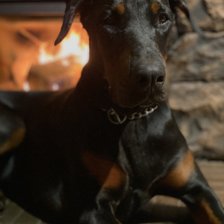 Cross stitch pattern: #2960948