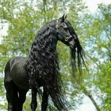 Cross stitch pattern: #2961380