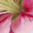 Preview of cross stitch pattern: #2961529