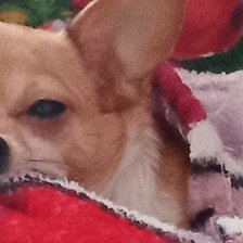 Cross stitch pattern: #2961570