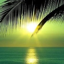 Cross stitch pattern: #2961708