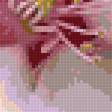 Preview of cross stitch pattern: #2962182