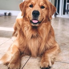 Cross stitch pattern: #2962606