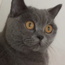 Cross stitch pattern: #2962718