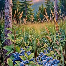 Cross stitch pattern: #2962773