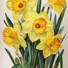 Cross stitch pattern: #2962804