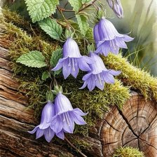 Cross stitch pattern: #2962867