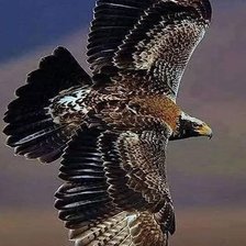 Cross stitch pattern: #2963070