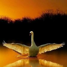 Cross stitch pattern: #2963071