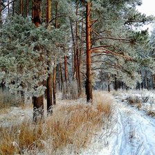 Cross stitch pattern: #2963137