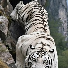 Cross stitch pattern: #2963277