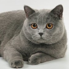 Cross stitch pattern: #2963373