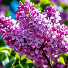 Cross stitch pattern: #2963454