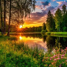 Cross stitch pattern: #2963513