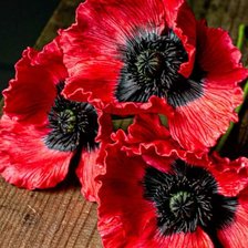 Cross stitch pattern: #2964781