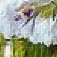 Preview of cross stitch pattern: #2964830