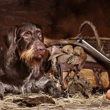 Cross stitch pattern: #2965551