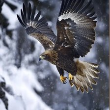 Cross stitch pattern: #2965967