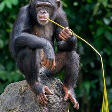 Cross stitch pattern: #2966131