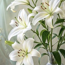 Cross stitch pattern: #2966187