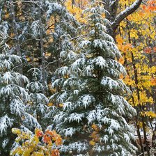 Cross stitch pattern: #2966205