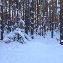 Cross stitch pattern: #2966303