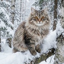 Cross stitch pattern: #2966465