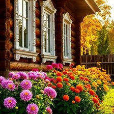 Cross stitch pattern: #2966609