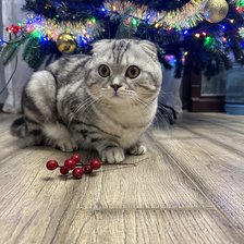 Cross stitch pattern: #2966894