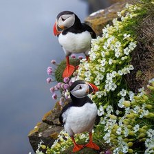 Cross stitch pattern: #2967052