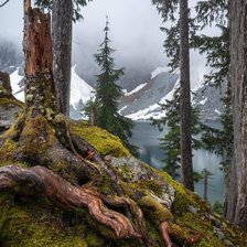 Cross stitch pattern: #2967811