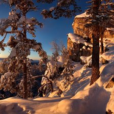 Cross stitch pattern: #2967956