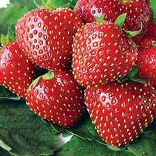 Cross stitch pattern: #2968038