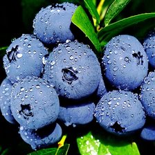 Cross stitch pattern: #2968042