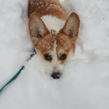 Cross stitch pattern: #2968371