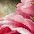 Preview of cross stitch pattern: #2969088