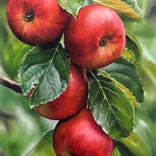 Cross stitch pattern: #2969294