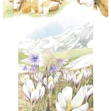 Cross stitch pattern: #2969396