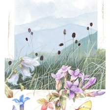 Cross stitch pattern: #2969397