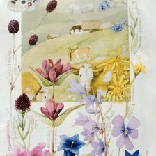 Cross stitch pattern: #2969399