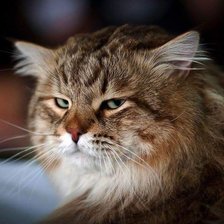 Cross stitch pattern: #2969403