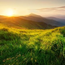 Cross stitch pattern: #2969607