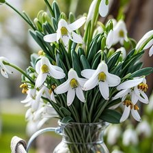 Cross stitch pattern: #2969769