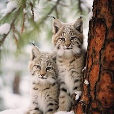 Cross stitch pattern: #2969813