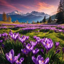 Cross stitch pattern: #2969930