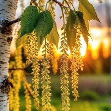 Cross stitch pattern: #2970022