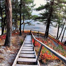 Cross stitch pattern: #2970567