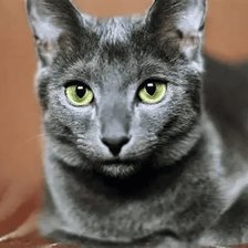 Cross stitch pattern: #2970675