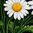 Preview of cross stitch pattern: #2970681